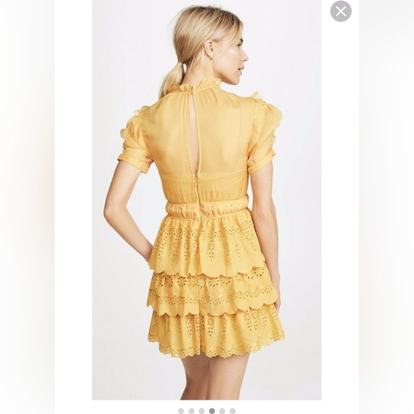 Self-Portrait NWOT Embroidered Chiffon Tiered Mini Dress In Gold Yellow Size 4 - Picture 4 of 16